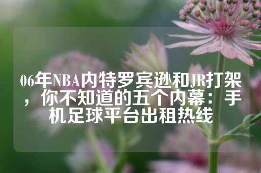 06年NBA内特罗宾逊和JR打架，你不知道的五个内幕：手机足球平台出租热线