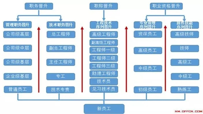 新安中超公司工资待遇怎么样？介绍公司内部薪资结构和晋升机制-第2张图片-www.211178.com_果博福布斯